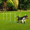 Dog Weave Pole Set, Agility Starter Kit for Outdoor Exercise Training